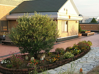 屋上庭園